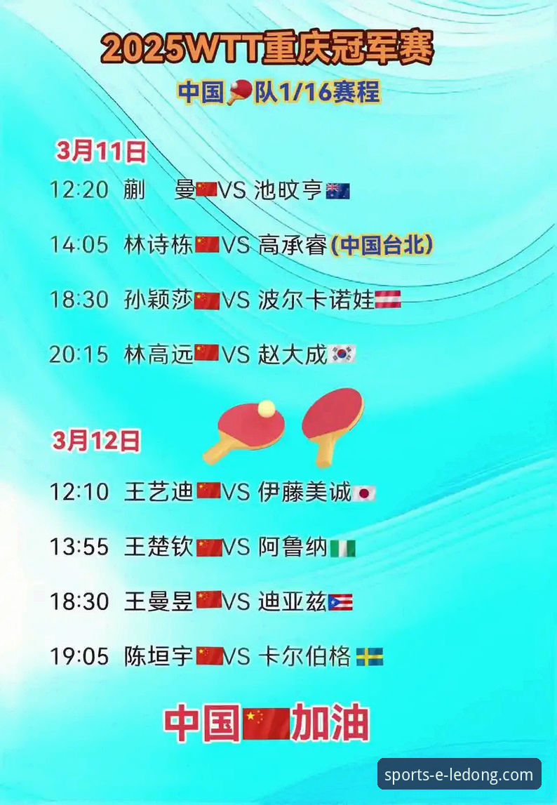 乐动体育平台入口官网入口 在乐动体育平台入口官网入口,深度复盘WTT重庆冠军赛决赛的完整指南
