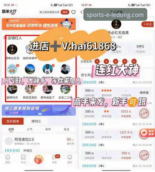 乐动体育平台电脑版体验升级：资深用户分享五大高效使用技巧最新动态